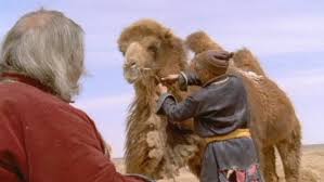 Please do not review this item. The Story Of The Weeping Camel Reviews Metacritic