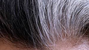 Maybe you would like to learn more about one of these? Faut Il Cacher Ou Assumer Ses Cheveux Blancs Youtube