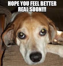 Meme Maker Hope You Feel Better Real Soon Meme Generator