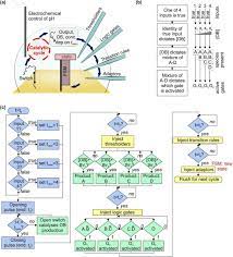 Home omics dna dna microscopy spatially maps dna and other biomolecules in cells and tissues. Thebest Morning News Dna Contains The Instructions For Making What Other Biomolecule Cell The Structure Of Biological Molecules Britannica Virtually Every Cell In Your Body Contains Dna Or The Genetic Code That
