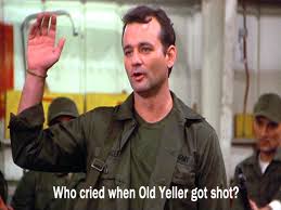Gif Recap Redskins Lose To Texans Via Bill Murray Gifs Hogs Haven