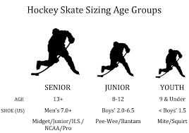 Ccm Jetspeed Ft480 Ice Hockey Goalie Skates Junior Pure