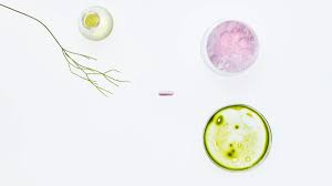 Vitamin b12 deficiency is a common cause of megaloblastic anemia, various neuropsychiatric symptoms, and other clinical manifestations. What Are The Signs And Symptoms Of A B12 Deficiency