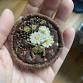 Sweet Vignette Jewelry event image