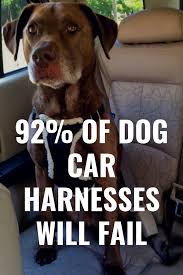 Walmart.com has been visited by 1m+ users in the past month Best Way To Transport A Dog In The Car Dog Car Harness Dogs Car Harness