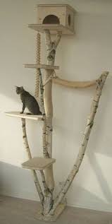 Votre Animal De Compagnie Merite Le Meilleur Voici 15 Idees A Realiser Vous Meme Pour Les Chouchouter Chambre A Theme Chat Arbre A Chat Diy Arbre A Chat