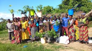 Image result for Burttdavya