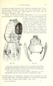 Pin On Historical Armor