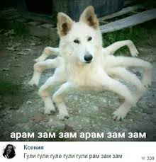 арам зам зам гули гули гули гули рам зам зам Aram Zam Zam Smeshno Anime Muzyka