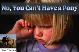 Image result for no pony meme