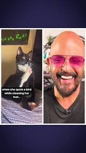 Jackson Galaxy Reacts to Cats