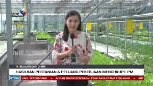 Fan page of pang chinn fei. Buletin Tv3 Belajar Dari China Hasilkan Pertanian Peluang Pekerjaan Mencukupi Pm Perd Facebook