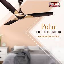 50 unique ceiling fans that help you underscore any style you choose. Polar Brings To You Ceiling Fan With The Innovative And Contemporary Design That Will Surely Enhance The Bea Ceiling Fan Ceiling Lights Decorative Ceiling Fans
