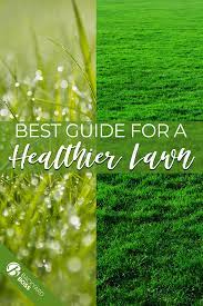 Lawn Care Tip Guide For A Healthy Lawn Lawn Care Tips Winter Lawn Care Lawn Care