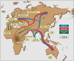 An Ancient Australian Connection To India Human Migration Human Fossils Early Humans
