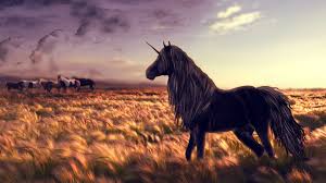 Cute unicorn wallpaper for chromebook. Unicorn Wallpaper Hd For Pc
