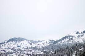 It has a modern and functional design created for ski & snowboarding industry: Alice S Mountain Market