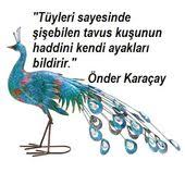 onder karacay sozleri tavus kusu ve ayaklari tavus kusu kusu zulum