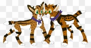Find them out in the forest, woodlands, mountains or tundra. Serval Sisters By Firewolf Anime Anime Wolf Sisters Firewolf Free Transparent Png Clipart Images Download
