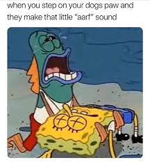 17 Clean Spongebob Memes Perfect For The G Rated Crowd Funny Spongebob Memes Funny Relatable Memes Really Funny Memes