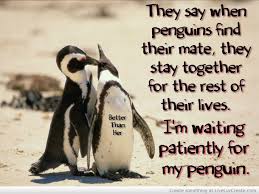 I think penguins are the most human of all the birds, which enjoy reading and share 10 famous quotes about love penguins with everyone. Cute Penguin Love Quotes Quotesgram