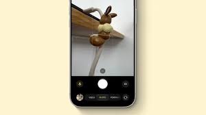 What Does The Flower Icon Mean On Your iPhone Camera?