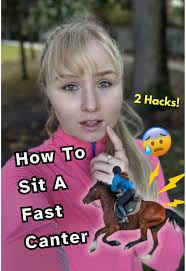 Horse Riding Tips for Beginners