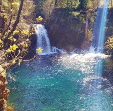 Tamolitch Blue Pool Mckenzie River Trail Oregon River Trail Hiking Destinations River
