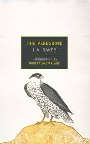 The Peregrine By J A Baker 9781590171332 Penguinrandomhouse Com Books In 2020 Peregrine Book Review Download Books