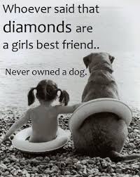 Connecting To The Itunes Store Dog Quotes Dog Poster Dog Love