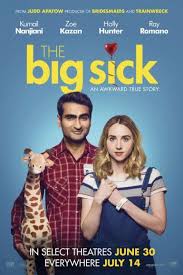 Pin By M Vampire Shadow On Peliculas The Big Sick Full Movies Online Free Sick Movie