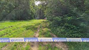 The body of fugitive soldier jürgen conings has been found in the dilserbos, some distance from where the mass search by police and troops took place in the hoge kempen national park, police said. Mlkijjy7yvbgnm