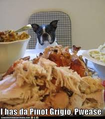 Maybe you would like to learn more about one of these? I Has A Hotdog Happy Thanksgiving Funny Dog Pictures Dog Memes Puppy Pictures Pictures Of Dogs Dog Pictures Funny Pictures Of Dogs Dog Memes Puppy Pictures Doge Cheezburger