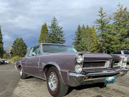 Image result for Iris Mist 1965 GTO