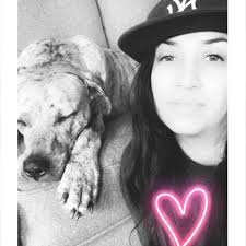 WEST BUCKTOWN!! "Residence