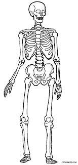Dia de los muertos skeleton coloring page free printable. Printable Skeleton Coloring Pages For Kids