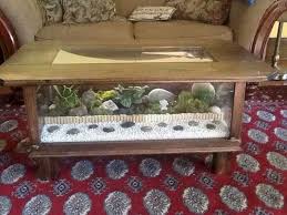 Coffee table vivarium coffee table terrarium bearded dragon habitat bearded dragon cage hermit crab tank hermit crabs tortoise enclosure reptile enclosure bearded dragon enclosure. 25 Incredible Terrarium Coffee Table Ideas Freshouz Com Terrarium Table Coffee Table Terrarium Tortoise Table
