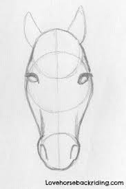 For Horse Pencil Drawings Adding The Shading To Horse Head Is The Last Step Create Sketches Step By Step Horse Drawings Horse Pencil Drawing Pencil Drawings