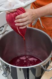 Johannisbeerwein Selbst Gemacht Schritt Fur Schritt Anleitung Johannisbeeren Wein Selber Machen Lebensmittel Essen
