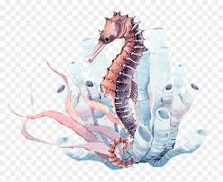 Stony corals coral reef, sea, marine invertebrates, coral png. Seabed Seahorse Png Transparent Watercolor Coral Seahorse Png Download Vhv