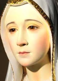 Marian message S.Martino Schio Italy February 27, 1986  -------------------------------------------- My dear children. Here, right  here, in this place I come to visit you every day. Whoever listens to me  will find peace.