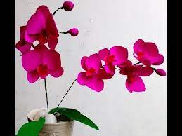 Pin On Flor