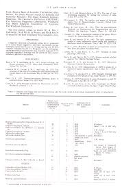 Image result for Brachyachne patentiflora