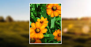 Leila Prater Corder Obituary 2018