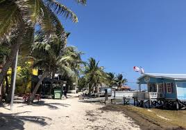 We did not find results for: Ambergris Caye Inselparadies In Belize Reisetopia