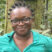 Postdoctoral fellows