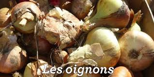 Je Cuisine Mon Potager Un Site Pour Mieux Connaitre Les Legumes Mais Aussi Les Differentes Facons De Les Cu Recettes De Cuisine Recette Apero Facile Cuisine