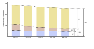 Image result for Lung Volume