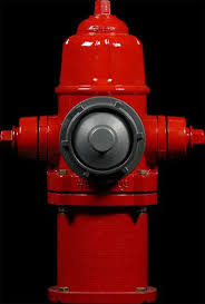 Manual fire nozzle - American Flow Control