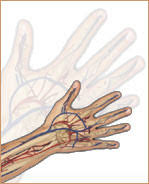 Keadaan ini kebiasaannya berlaku disebabkan oleh irritasi saraf atau saraf periperi terhimpit. Pengobatan Gangguan Kebas Tangan Kaki Jari Kompasiana Com